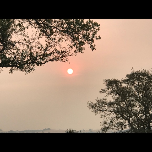 Meet your Posher, Scott - Picture 1 of 1